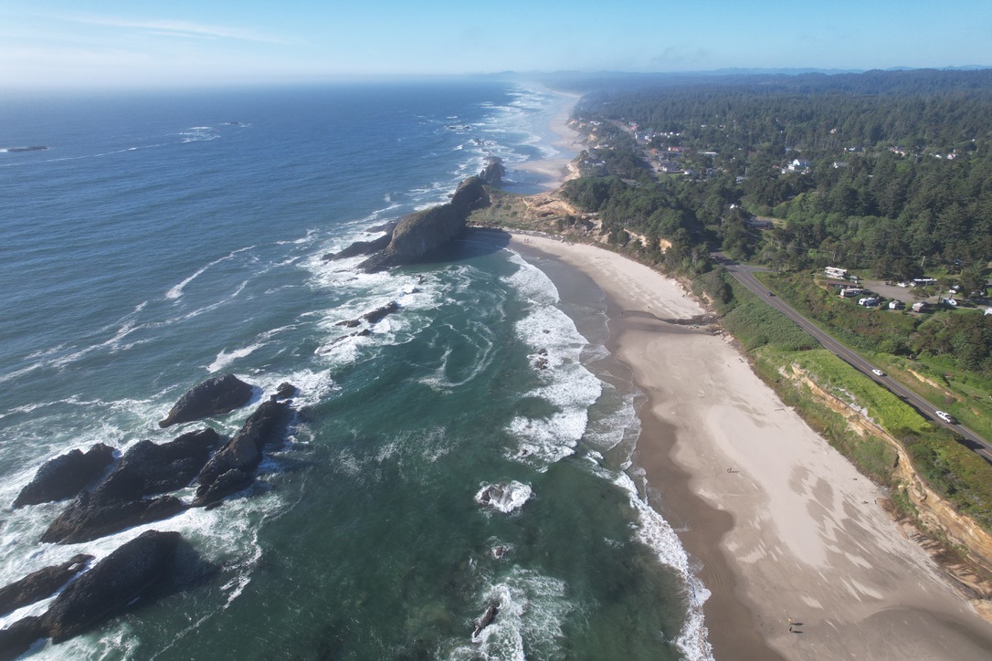 Aerial drone view of a rocky coastline and forest